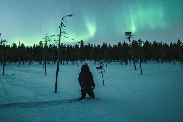 Northern Lights Snowshoe Hike in Rovaniemi: Arctic Aurora Adventure