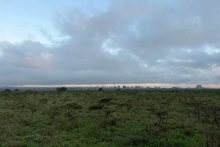 Exploring Nairobi’s Urban Wilds: Giraffe Center and National Park Adventure photo 3