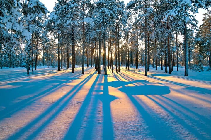Snowshoe Hike in Rovaniemi: Lapland Winter Wilderness Experience