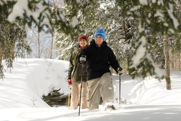 Snowshoe Hike in Rovaniemi: Lapland Winter Wilderness Experience photo 5