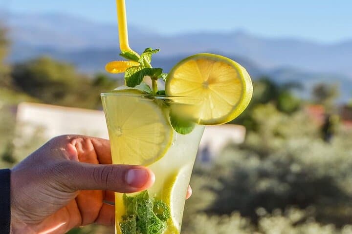 Private Anima Garden & Berber Lunch in Ourika Valley — Day Tour from Marrakech photo 4