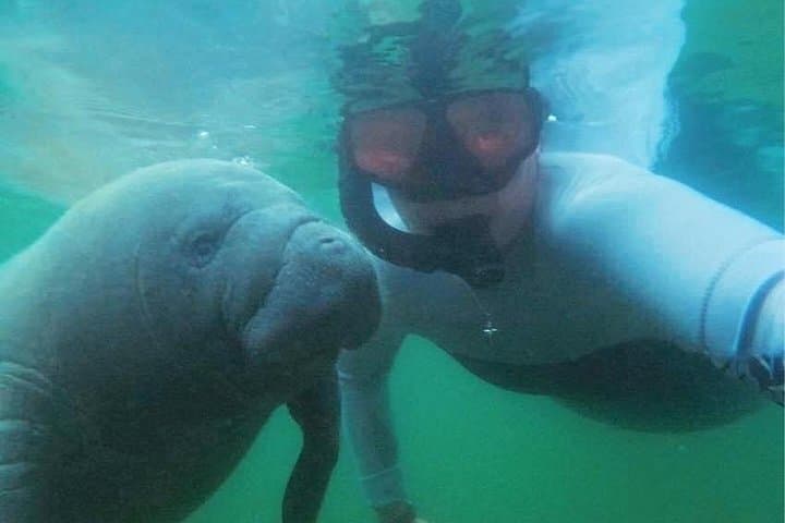 Private Manatee Swim in Crystal River: 6-Person Tour with Free Photos photo 4