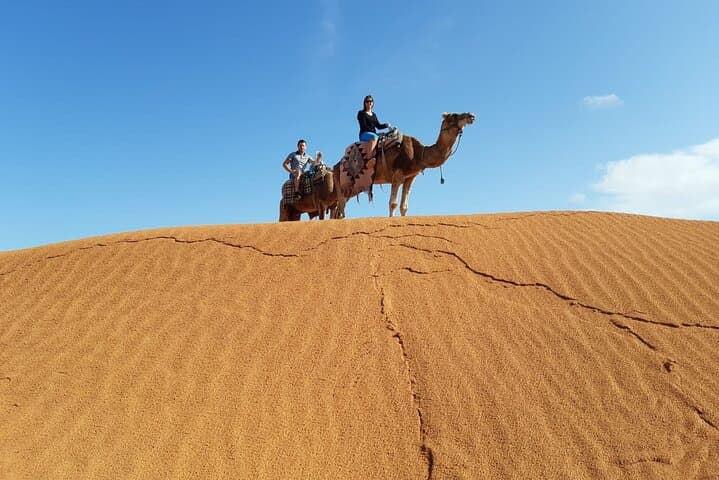Ksar Ghilane Day Trip: Oasis Hot Spring, Dunes, Camel & Quad from Djerba photo 4