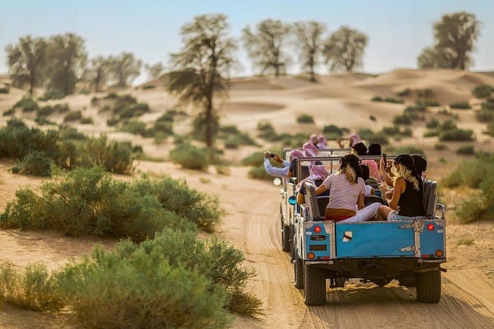 Heritage Desert Safari in Vintage Land Rover — Dubai Dinner & Falconry photo 2