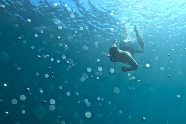 Snorkel Athens: Guided Mediterranean Snorkeling Adventure from Central Athens photo 6