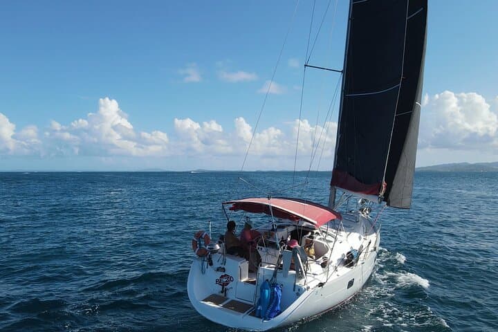 Private Half-Day Sailing & Snorkeling from Fajardo to Icacos or Palomino photo 3