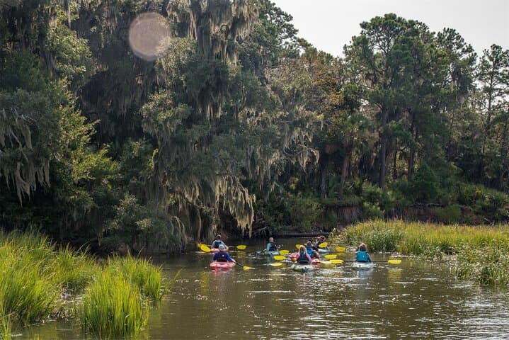 Palmetto Bluff May River Kayak Tour — 2-Hour Guided Salt Marsh Paddle photo 2