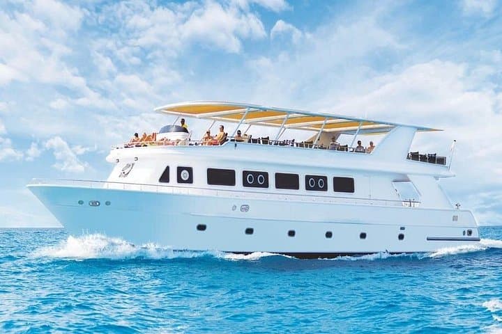 Full-Day Red Sea Scuba Intro from Sharm El Sheikh to Tiran Island photo 2