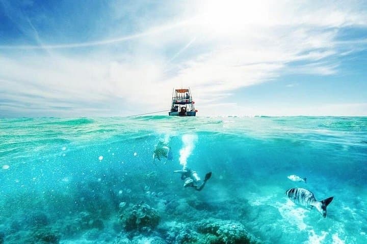 Full-Day Red Sea Scuba Intro from Sharm El Sheikh to Tiran Island photo 3