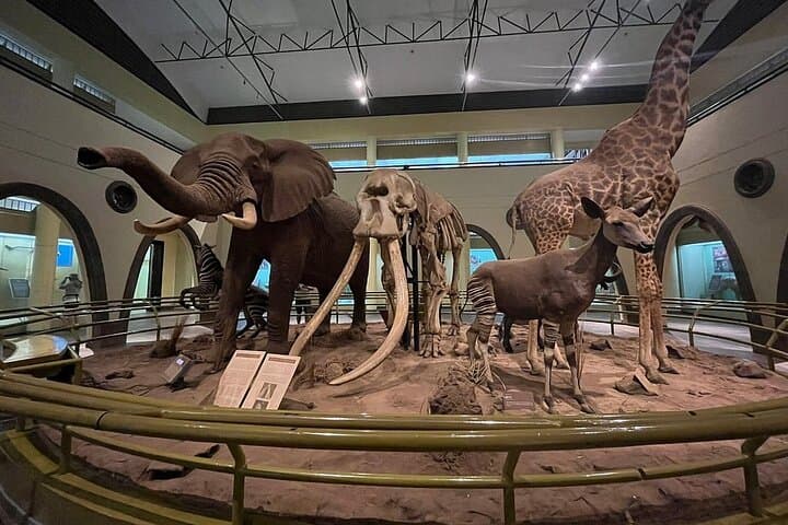 Nairobi Full-Day Cultural Tour: KICC, Museums & Bomas of Kenya photo 4