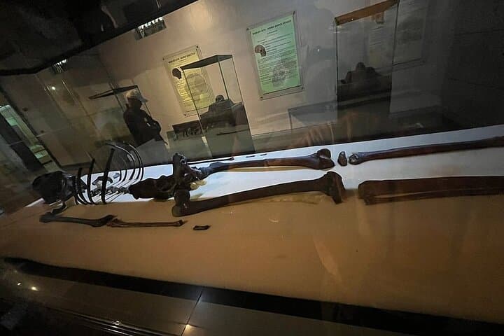 Nairobi Full-Day Cultural Tour: KICC, Museums & Bomas of Kenya photo 5