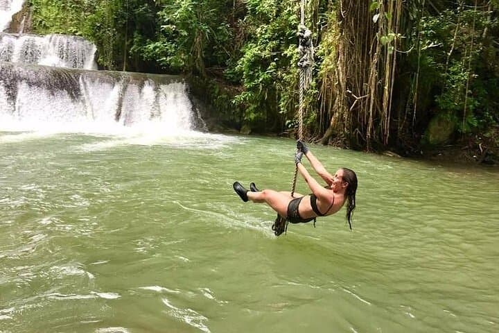 Private Tour to Appleton Estate Rum Distillery and YS Falls from Montego Bay photo 6
