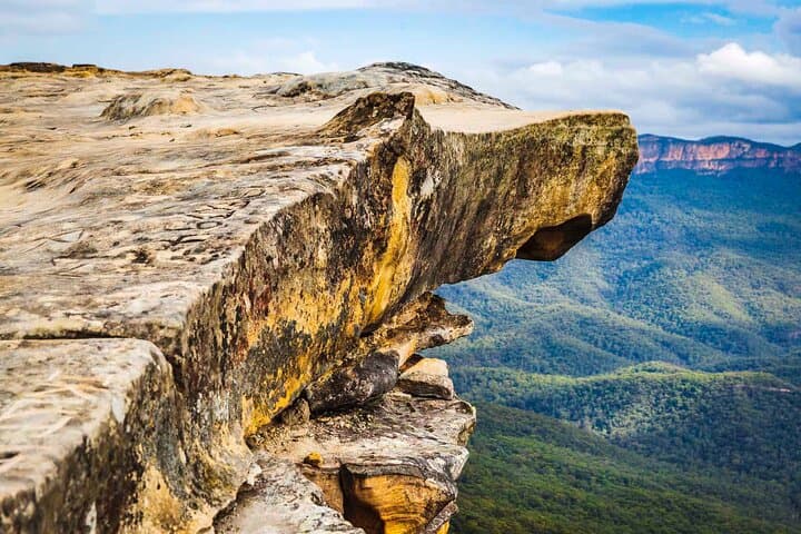 Luxury Small-Group Blue Mountains Escape: Lincoln's Rock, Featherdale & Jamison Valley photo 4