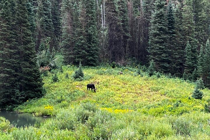Full-Day Private Rocky Mountains Tour from Salt Lake City — Canyons, Lakes & Waterfalls photo 3