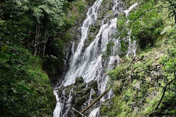 Anton Valley Day Tour with Hiking in El Valle de Anton photo 5