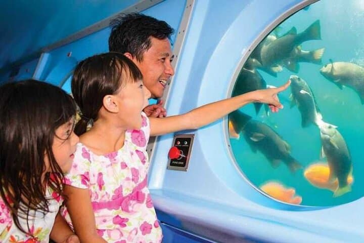 Avalon Semi-Submarine SS Nautilus Undersea Tour — Catalina Island Adventure photo 3