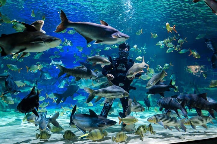 Inside Angkor Wildlife and Aquarium: Full-Day Conservation Experience in Siem Reap
