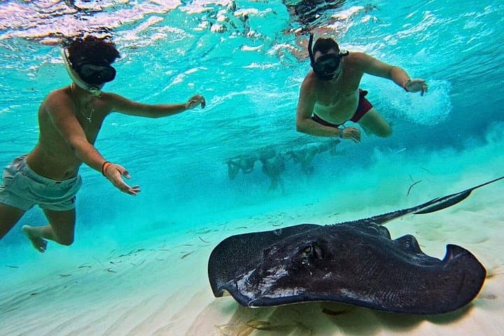 El Cielo Cozumel Snorkel: Private Boat to Palancar, Colombia & Sandbar with Food & Drinks photo 3