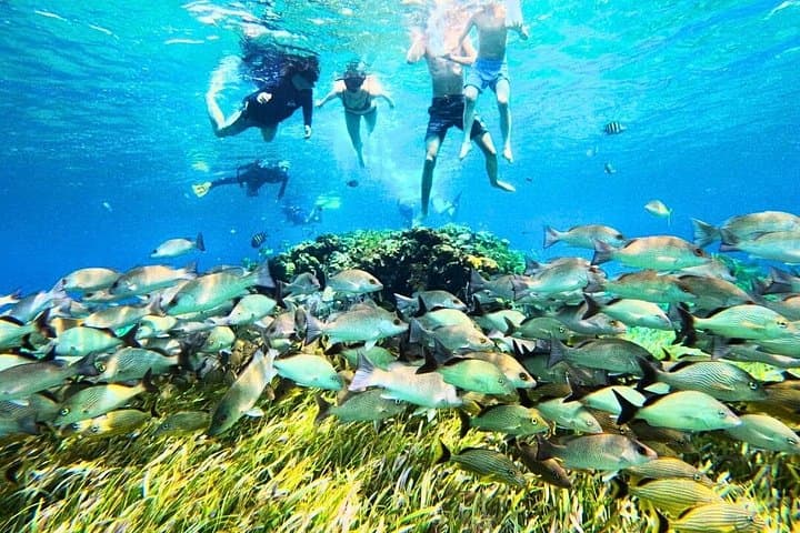 El Cielo Cozumel Snorkel: Private Boat to Palancar, Colombia & Sandbar with Food & Drinks photo 4