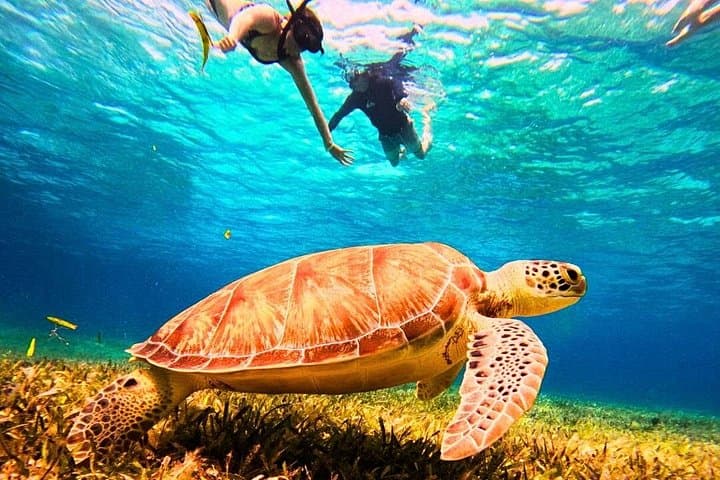 El Cielo Cozumel Snorkel: Private Boat to Palancar, Colombia & Sandbar with Food & Drinks photo 2