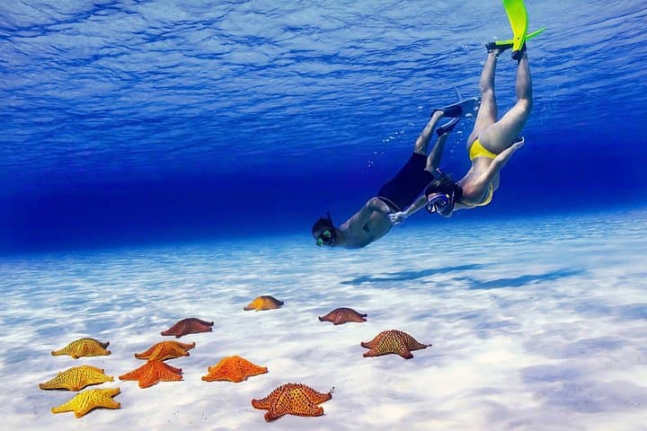 El Cielo Cozumel Snorkel: Private Boat to Palancar, Colombia & Sandbar with Food & Drinks photo 1