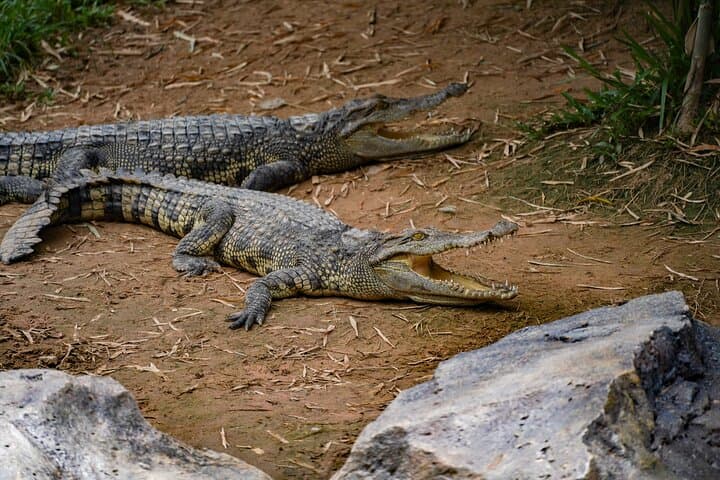 Inside Angkor Wildlife and Aquarium: Full-Day Conservation Experience in Siem Reap photo 4