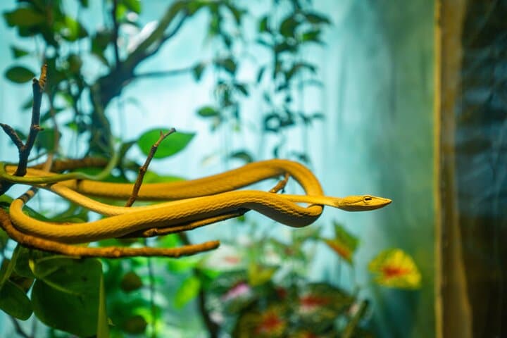 Inside Angkor Wildlife and Aquarium: Full-Day Conservation Experience in Siem Reap photo 5