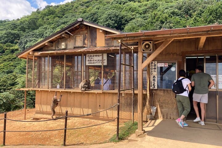 Arashiyama & West Kyoto Walking Tour: Bamboo Forest, Monkey Park, Matcha & Calligraphy photo 3