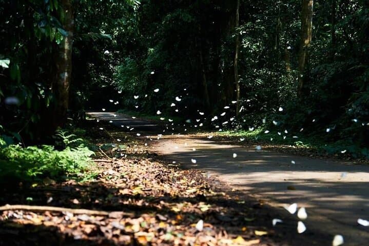 Cuc Phuong National Park Trek: Day Hike with Local Guide from Ninh Binh photo 6