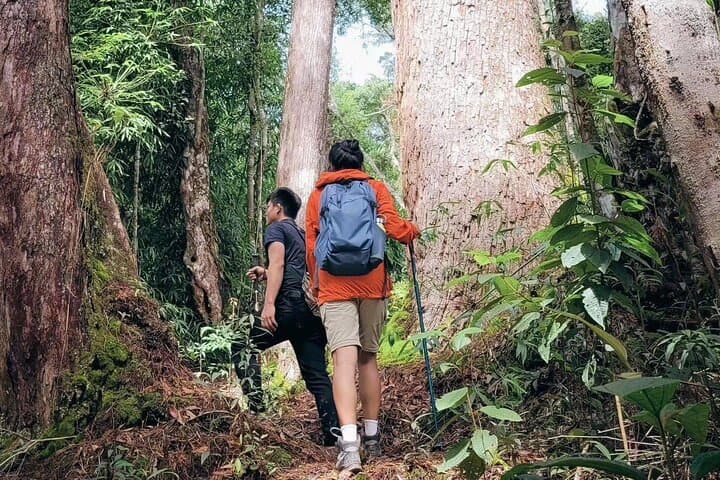 Cuc Phuong National Park Trek: Day Hike with Local Guide from Ninh Binh photo 5