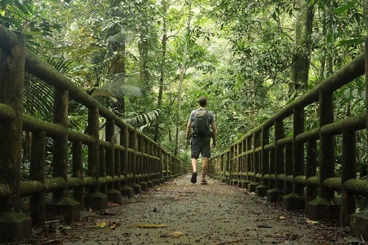 Cuc Phuong National Park Trek: Day Hike with Local Guide from Ninh Binh photo 4