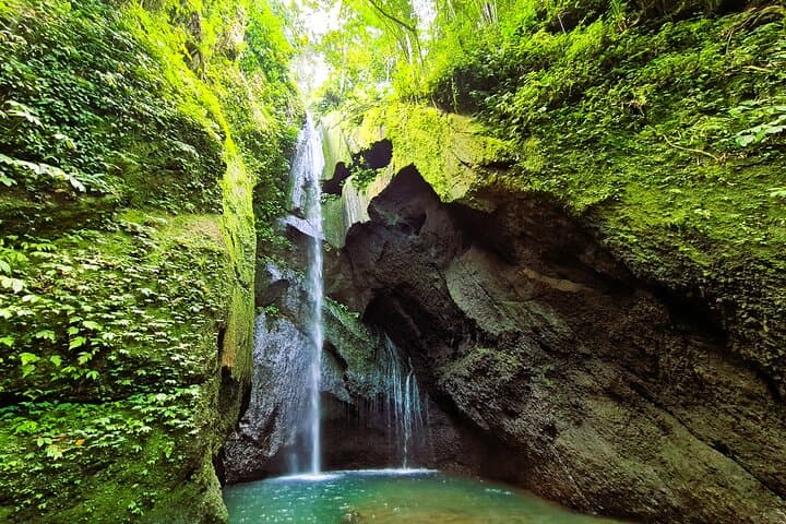 Explore Bali's Untamed Rainforest: Jungle Trek & Waterfall Experience