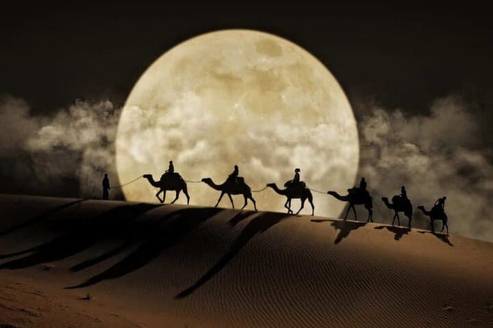 Doha Night Desert Safari: Stargazing, Dune Drive & Camel Ride photo 3