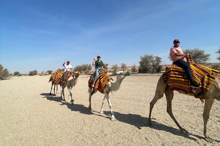Discover Riyadh Desert & Heritage: Camel Ride, Qasab Salt Flats and Oasis Lake photo 3