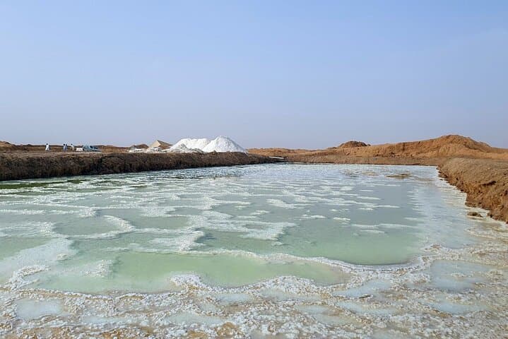 Discover Riyadh Desert & Heritage: Camel Ride, Qasab Salt Flats and Oasis Lake photo 5