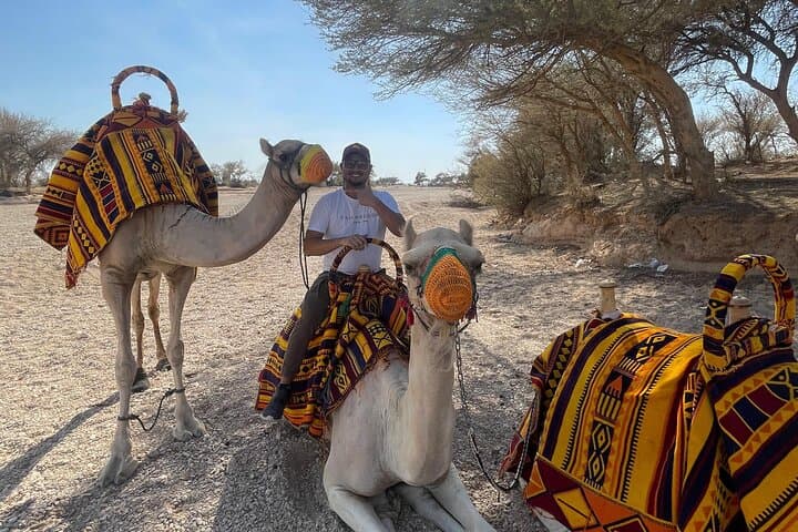 Discover Riyadh Desert & Heritage: Camel Ride, Qasab Salt Flats and Oasis Lake photo 4