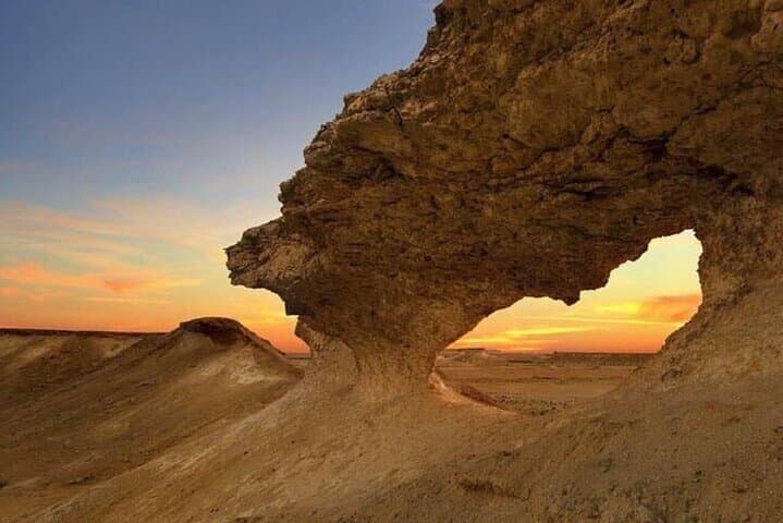 Qatar North & West: Zubara, Zekreet and Al Khor Mangroves photo 3