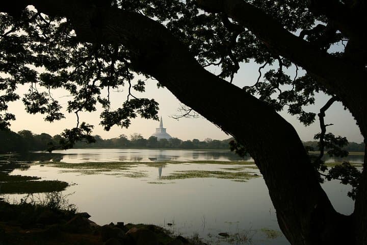 5-Day Private Guided Cultural Tour of Sri Lanka's Heritage Triangle photo 3