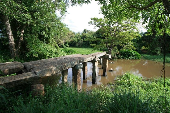 5-Day Private Guided Cultural Tour of Sri Lanka's Heritage Triangle photo 4