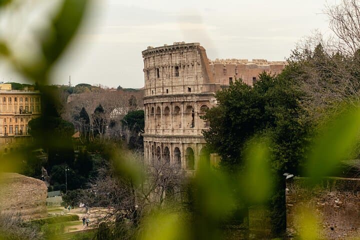 Last-Minute Colosseum Tour with Local Guide — Palatine & Forum Access photo 2