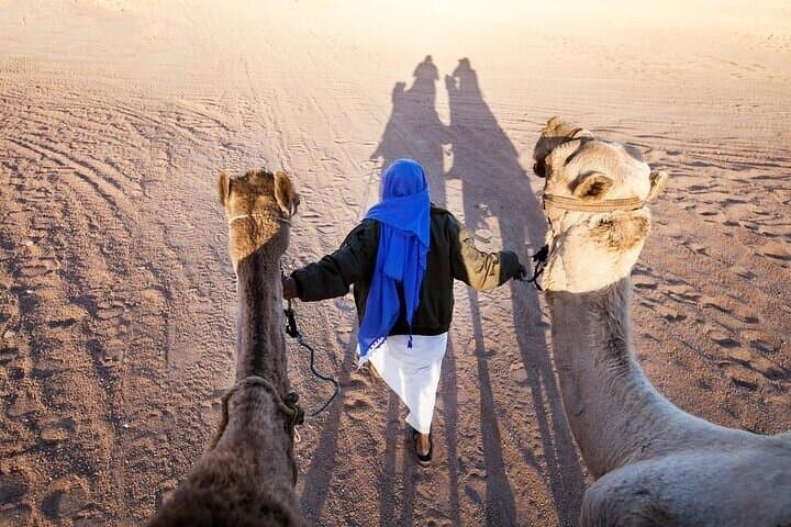 Sharm Desert Escape: ATV Quad, Camel Ride & Bedouin Dinner Under the Stars photo 4