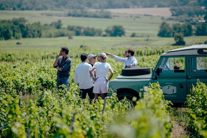 Half-Day Vintage Land Rover Wine Tour in Burgundy’s Mâconnais photo 4