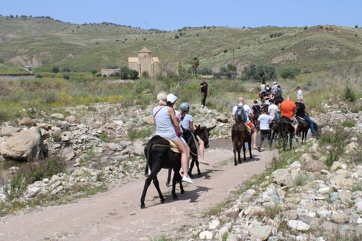 Donkey Safari & Village Culture Night Near Pafos — Cyprus Farm Tour photo 4
