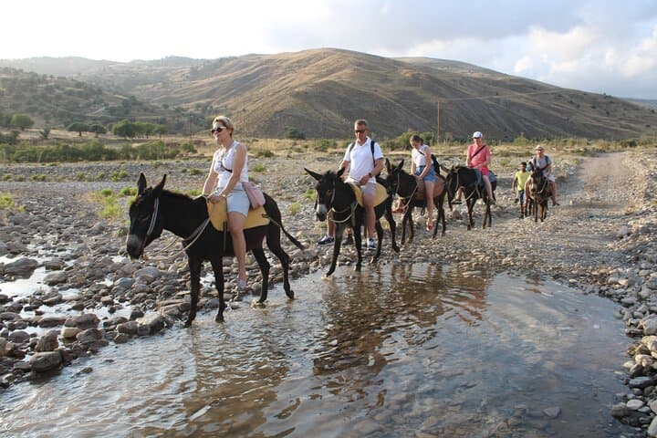 Donkey Safari & Village Culture Night Near Pafos — Cyprus Farm Tour photo 5