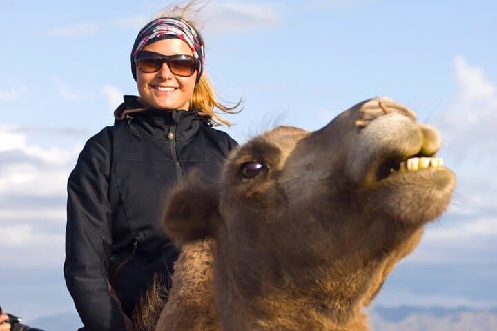 Agadir Camel Ride Tour: Two-Hour Camel Trek Through Souss Massa Dunes photo 6
