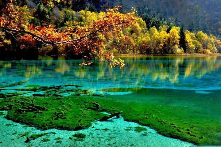 3-Day Jiuzhaigou & Huanglong Tour from Xi'an by High-Speed Train photo 5