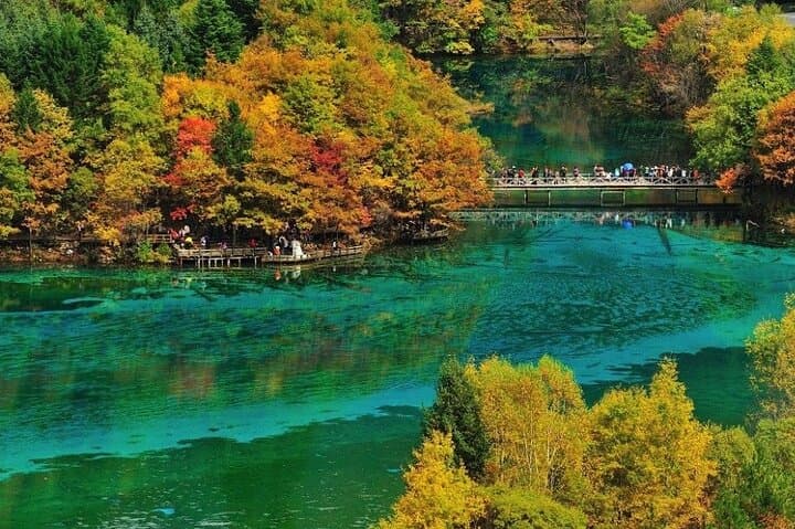 Jiuzhaigou Day Trip by Bullet Train from Chengdu — Private Park Tour photo 4