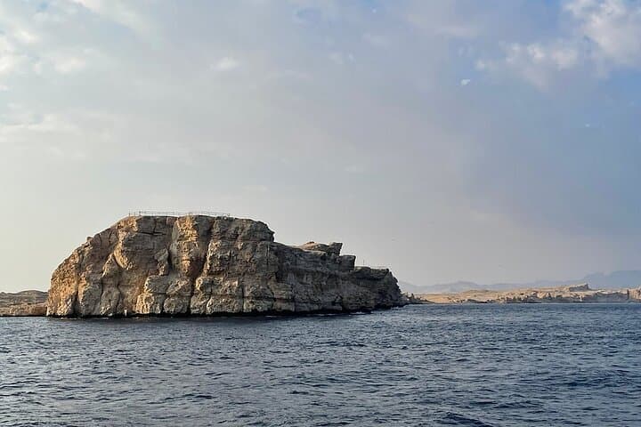 Ras Mohammed National Park Half-Day Snorkel Tour from Sharm El Sheikh photo 3