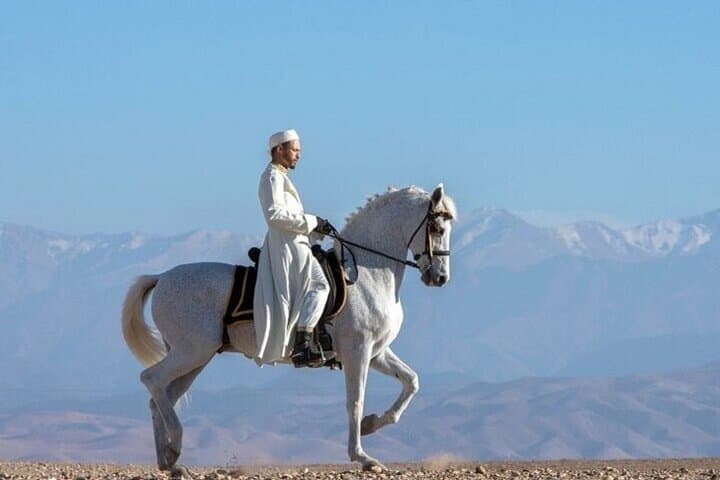 Agafay Desert Horseback Ride with Dinner and Cultural Show from Marrakech photo 3