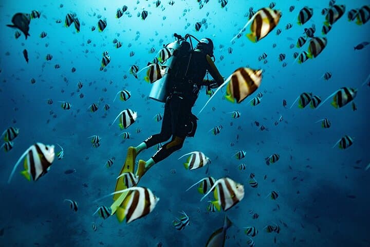 Kauai Beginner SCUBA at Koloa Landing — Guided Shore Dives & Turtle Encounters